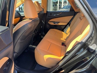 2024 Lexus NX 350 Premium